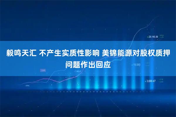 毅鸣天汇 不产生实质性影响 美锦能源对股权质押问题作出回应