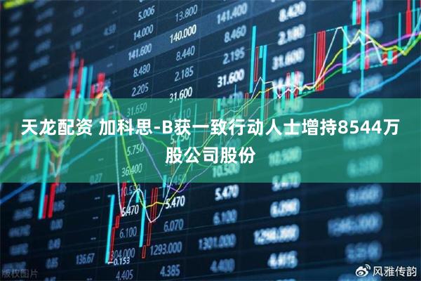 天龙配资 加科思-B获一致行动人士增持8544万股公司股份